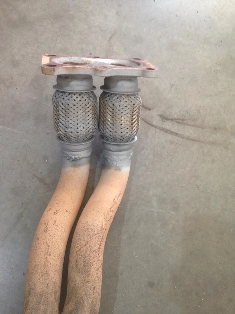 media af1qiposkmeug5ycpmcoocvofpqvwdcawcmajoko.jpeg